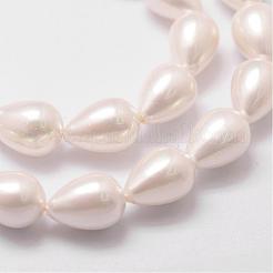 Rainbow Plated Shell Pearl Beads Strands&nbsp;BSHE-L027-01-6x9
