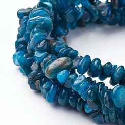 Natural Apatite Beads Strands&nbsp;X-G-P427-02