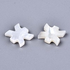 Natural White Shell Beads&nbsp;LS-SSHEL-ZX004-02E