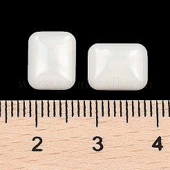 Opaque Resin Decoden Cabochons&nbsp;CRES-I036-09B