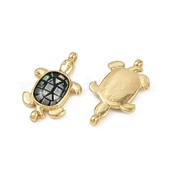 Brass Pave Natural Paua Shell Tortoise Connector Charms&nbsp;KK-C093-21G