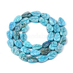 Natural Freshwater Shell Carved Beads Strands&nbsp;SHEL-N038-25B
