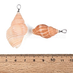Natural Spiral Shell Pendants&nbsp;SHEL-Q029-31P