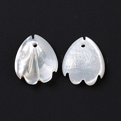 Natural White Shell Charms&nbsp;SSHEL-C011-07B