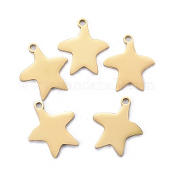 304 Stainless Steel Pendants&nbsp;LS-STAS-I140-13G