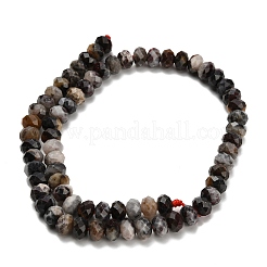 Natural Gemstone Beads Strands&nbsp;G-Z111-A34