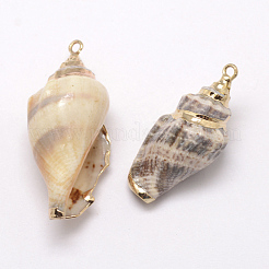 Golden Electroplated Conch Shell Pendants&nbsp;BSHE-M016-02