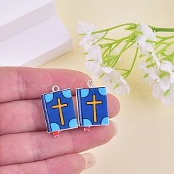 Resin Pendants&nbsp;PW-WG6856B-01