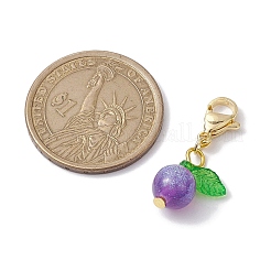 Round Resin Imitation Cat Eye Pendant Decortion&nbsp;HJEW-JM01986-01