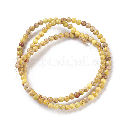 Natural Imperial Jasper Beads Strands&nbsp;G-I248-03B