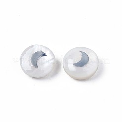 Natural Freshwater Shell Beads&nbsp;SHEL-N003-22-06P