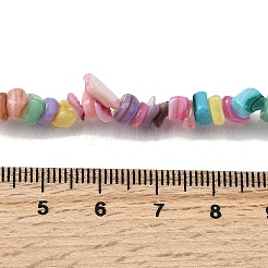 Natural Freshwater Shell Beads&nbsp;SHEL-B003-01I