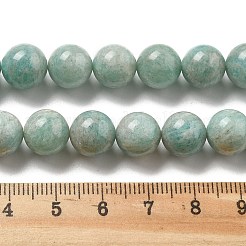 Natural Amazonite Beads Strands&nbsp;G-L618-A01-10mm