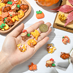 48Pcs 8 Styles Autumn Theme Resin Cabochons&nbsp;RESI-SC0036-38