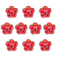 10Pcs Handmade Lampwork Beads&nbsp;LAMP-TADJ0001-01E