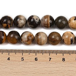 Natural Zebra Jasper Beads Strands&nbsp;G-F792-C13-01