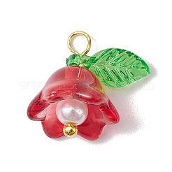 Mixed Color Glass Pearl & Acrylic Charms&nbsp;PALLOY-JF02567-02