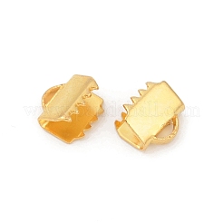 304 Stainless Steel Ribbon Crimp Ends&nbsp;STAS-E471-05H-G