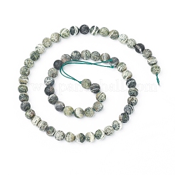 Natural Silver Line Jasper Beads Strands&nbsp;G-L549-01-6mm