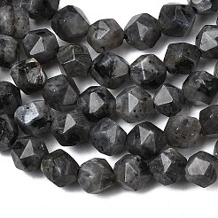Natural Larvikite Beads Strands&nbsp;G-Z119-A32-01
