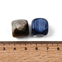 Resin European Beads&nbsp;RESI-Z053-01
