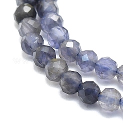 Natural Iolite/Cordierite/Dichroite Beads Strands&nbsp;G-P457-A03-11