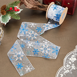 Polyester Lace Trim&nbsp;OCOR-WH20006-88B