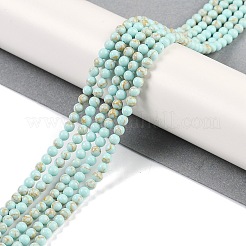 Synthetic Turquoise Beads Strands&nbsp;G-U004-02Q