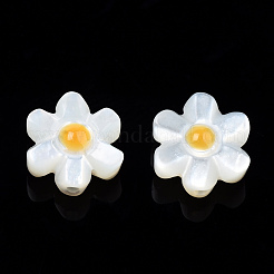 Natural White Shell Enamel Beads&nbsp;SSHEL-N034-125B-01