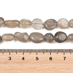Natural Grey Moonstone Beads Strands&nbsp;G-G464-A02-02