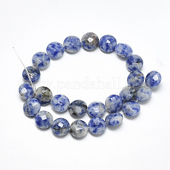 Natural Blue Spot Jasper Beads Strands&nbsp;G-S357-F06