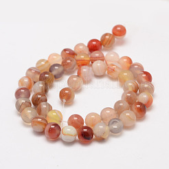 Natural Sardonyx Beads Strands&nbsp;X-G-K155-D-8mm-01