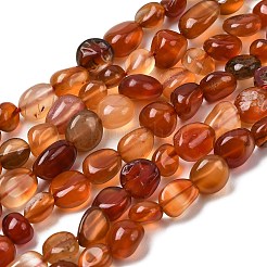 Natural Red Agate Beads Strands&nbsp;G-B161-A01