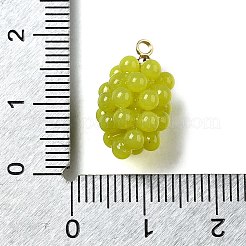 Grape Brass Acrylic Pendants&nbsp;OACR-R006-05G-06