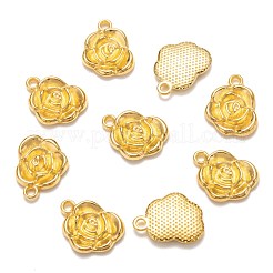 Tibetan Style Alloy Pendants&nbsp;K0NTA011