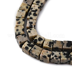 Natural Dalmatian Jasper Beads Strands&nbsp;G-F631-K30
