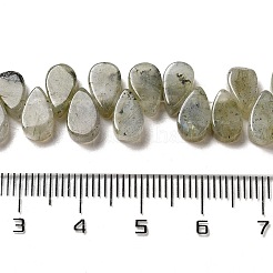 Natural Labradorite Beads Strands&nbsp;G-B064-B62
