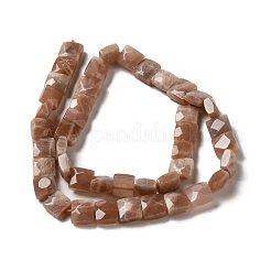 Natural Sunstone Beads Strands&nbsp;G-C109-A09-02