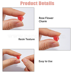 60Pcs 3 Styles Resin Beads&nbsp;RESI-HS0001-12