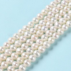 Natural Cultured Freshwater Pearl Beads Strands&nbsp;PEAR-E018-73
