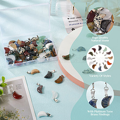 48Pcs 12 Styles Natural Gemstone Pendants&nbsp;G-FW0001-30