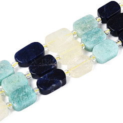 Natural Sodalite & Flower Amazonite & Lemon Quartz Beads Strands&nbsp;G-N358-02A-07