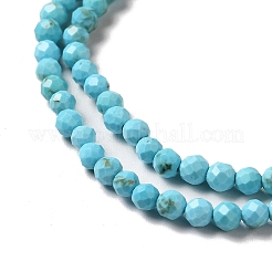 Natural Howlite Beads Strands&nbsp;G-C025-03B-02