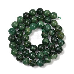 Natural African Jade Beads Strands&nbsp;G-K091-8mm