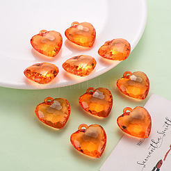 Transparent Acrylic Pendants&nbsp;TACR-T024-03B-921