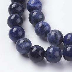Natural Sodalite Beads Strands&nbsp;G-G448-10mm-25