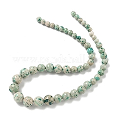 Natural Fossil Graduated Beads Strands&nbsp;G-F830-A03-01C