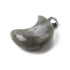 Natural Labradorite Pendants&nbsp;G-F820-02C