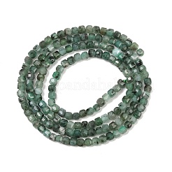 Natural Emerald Beads Strands&nbsp;G-B175-C04-2x2mm