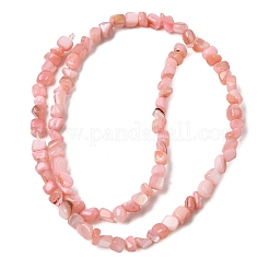 Natural Freshwater Shell Beads Strands&nbsp;SHEL-A006-07